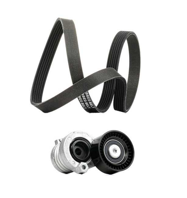 INA 529033910-V KAYIS SETİ KAYIS+RULMAN DACIA LOGAN II 1.5 DCI > 117202495R)(758